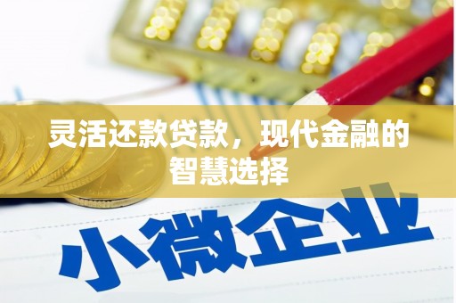 灌阳灵活还款贷款，现代金融的智慧选择