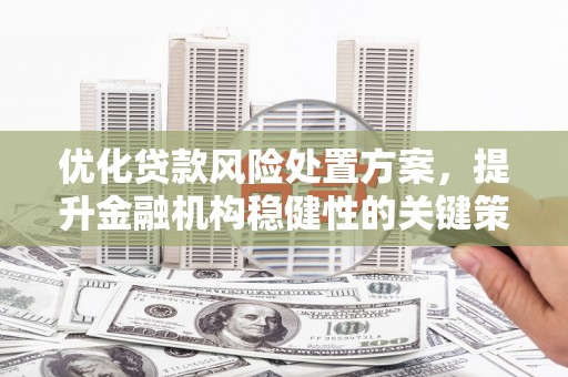灌阳优化贷款风险处置方案，提升金融机构稳健性的关键策略