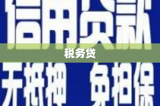 灌阳税务贷