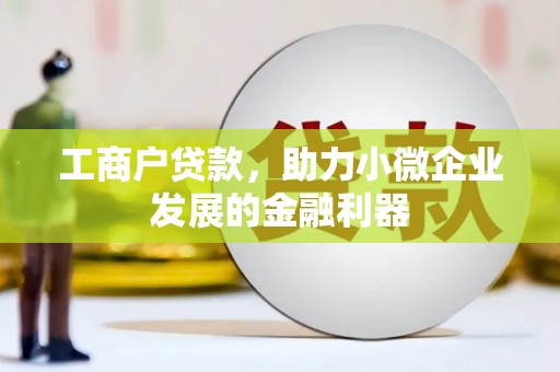 灌阳工商户贷款，助力小微企业发展的金融利器