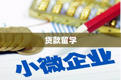 灌阳贷款留学