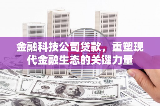 灌阳金融科技公司贷款，重塑现代金融生态的关键力量