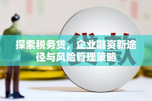 灌阳探索税务贷，企业融资新途径与风险管理策略