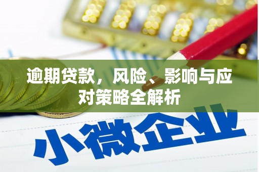 灌阳逾期贷款，风险、影响与应对策略全解析