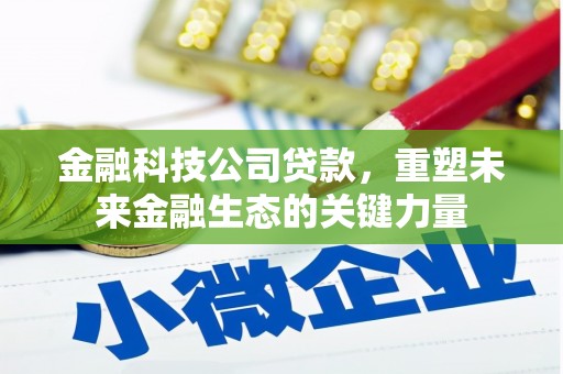 灌阳金融科技公司贷款，重塑未来金融生态的关键力量