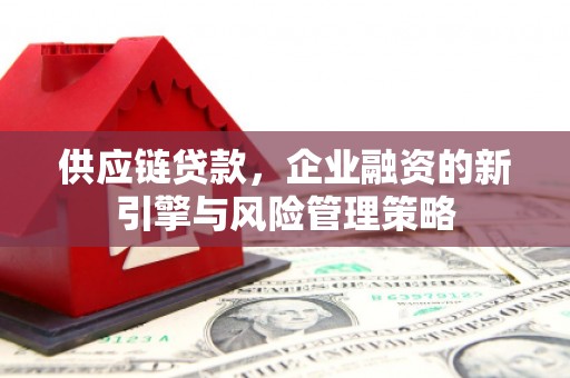 灌阳供应链贷款，企业融资的新引擎与风险管理策略
