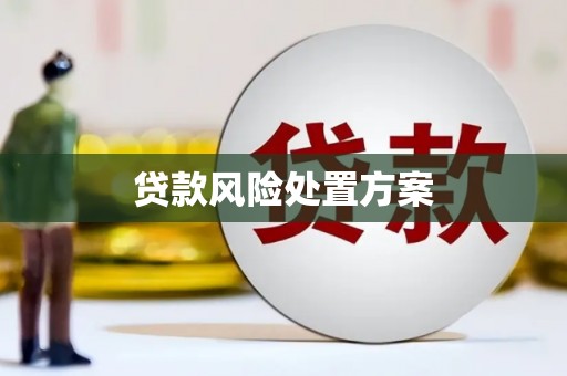 灌阳贷款风险处置方案