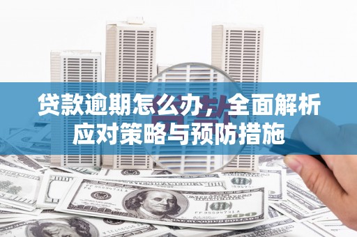 灌阳贷款逾期怎么办，全面解析应对策略与预防措施