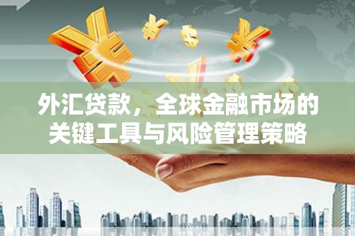 灌阳外汇贷款，全球金融市场的关键工具与风险管理策略