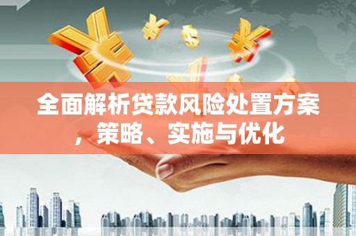 灌阳全面解析贷款风险处置方案，策略、实施与优化