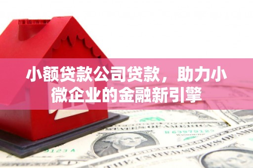 灌阳小额贷款公司贷款，助力小微企业的金融新引擎