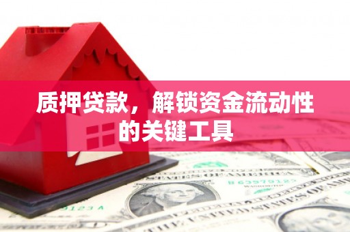 灌阳质押贷款，解锁资金流动性的关键工具