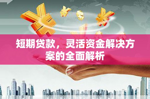 灌阳短期贷款，灵活资金解决方案的全面解析