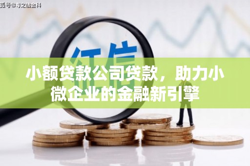 灌阳小额贷款公司贷款，助力小微企业的金融新引擎
