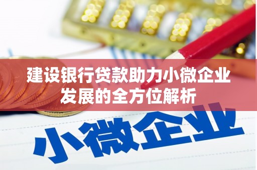 灌阳建设银行贷款助力小微企业发展的全方位解析