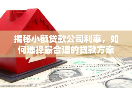 灌阳揭秘小额贷款公司利率，如何选择最合适的贷款方案