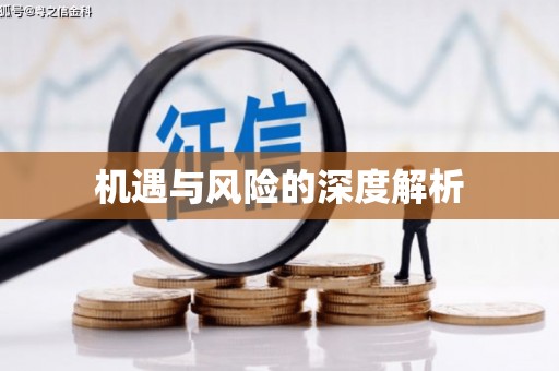 灌阳机遇与风险的深度解析