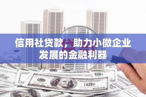 灌阳信用社贷款，助力小微企业发展的金融利器