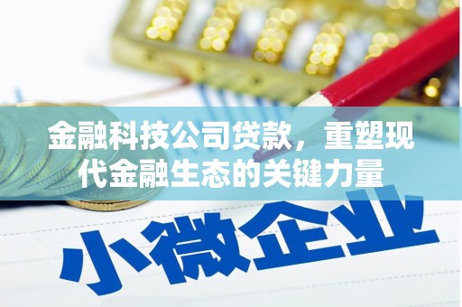 灌阳金融科技公司贷款，重塑现代金融生态的关键力量