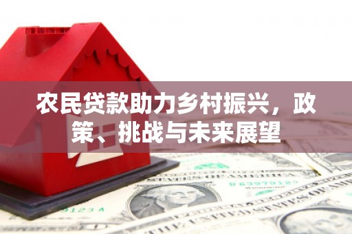 灌阳农民贷款助力乡村振兴，政策、挑战与未来展望