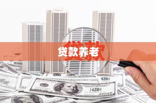 灌阳贷款养老