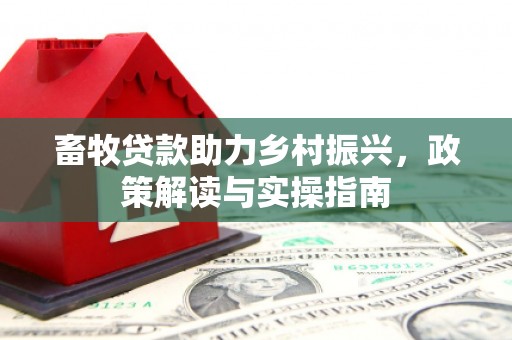 灌阳畜牧贷款助力乡村振兴，政策解读与实操指南