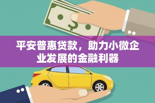 灌阳平安普惠贷款，助力小微企业发展的金融利器