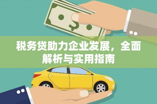 灌阳税务贷助力企业发展，全面解析与实用指南