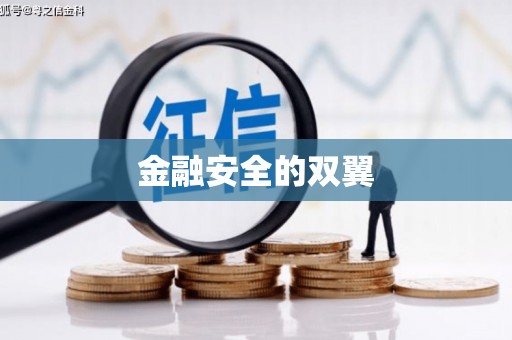 灌阳金融安全的双翼