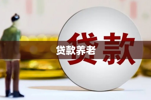 灌阳贷款养老