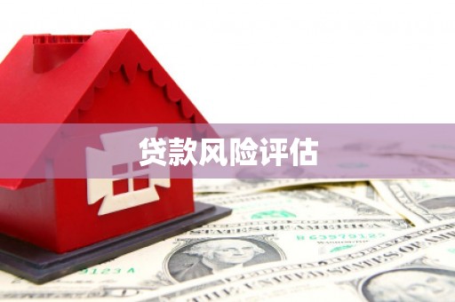 灌阳贷款风险评估