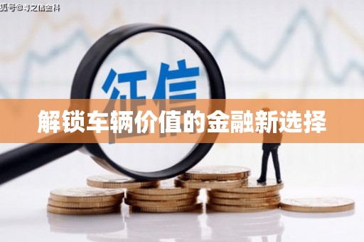 灌阳解锁车辆价值的金融新选择