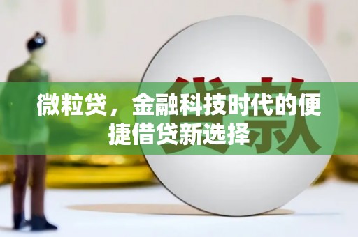 灌阳微粒贷，金融科技时代的便捷借贷新选择