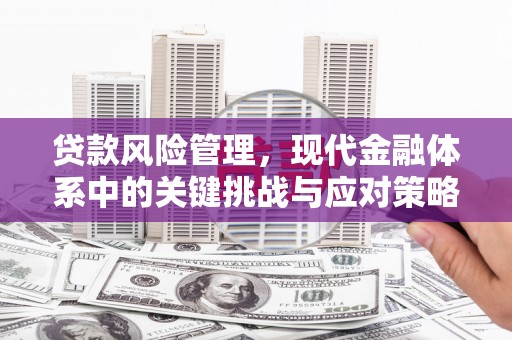 灌阳贷款风险管理，现代金融体系中的关键挑战与应对策略