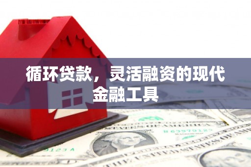 灌阳循环贷款，灵活融资的现代金融工具