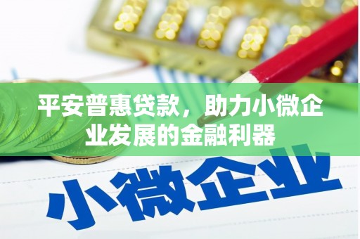 灌阳平安普惠贷款，助力小微企业发展的金融利器