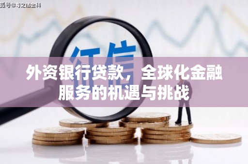 灌阳外资银行贷款，全球化金融服务的机遇与挑战