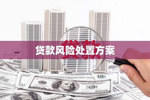 灌阳贷款风险处置方案