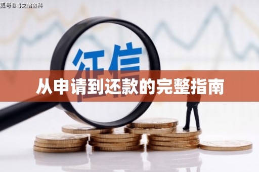 灌阳从申请到还款的完整指南
