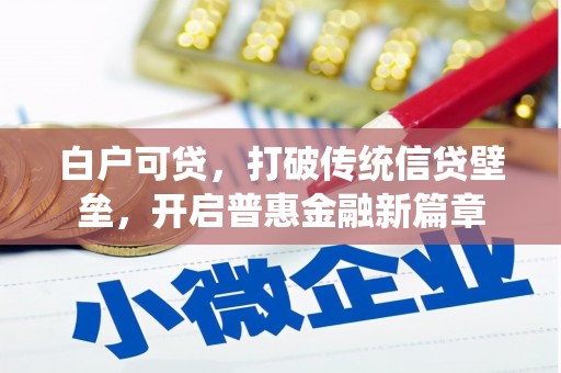 灌阳白户可贷，打破传统信贷壁垒，开启普惠金融新篇章