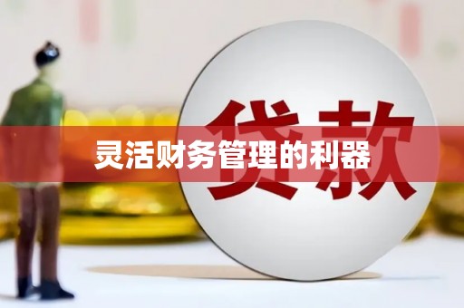 灌阳灵活财务管理的利器