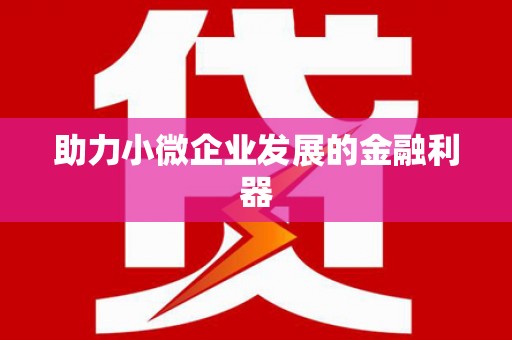 灌阳助力小微企业发展的金融利器