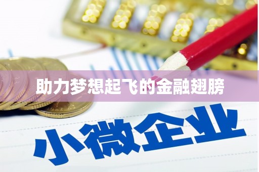 灌阳助力梦想起飞的金融翅膀