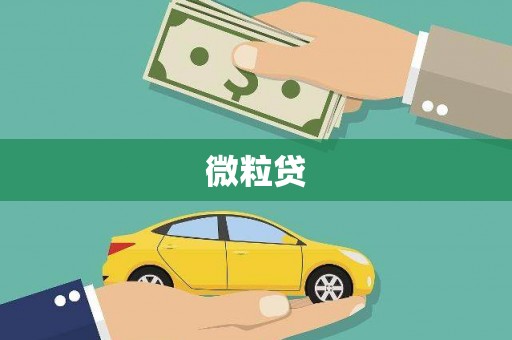 灌阳微粒贷