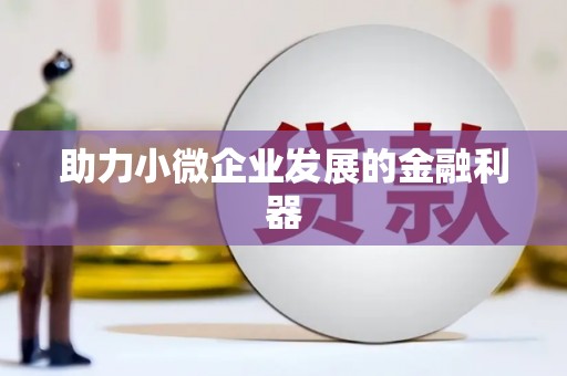 灌阳助力小微企业发展的金融利器