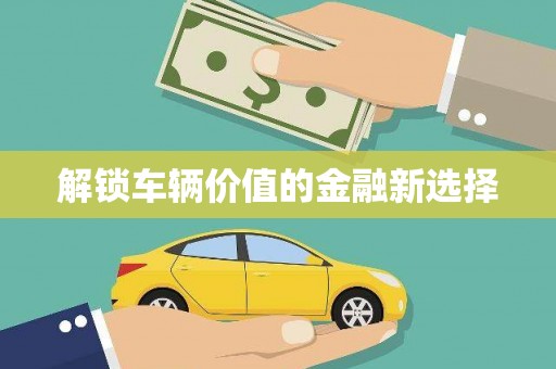 灌阳解锁车辆价值的金融新选择
