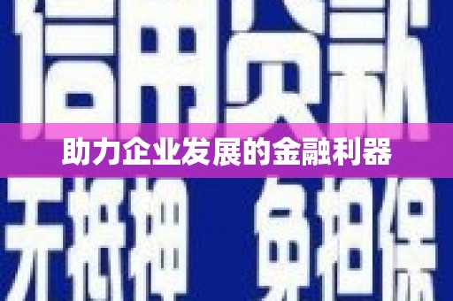 灌阳助力企业发展的金融利器