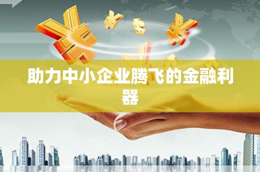 灌阳助力中小企业腾飞的金融利器