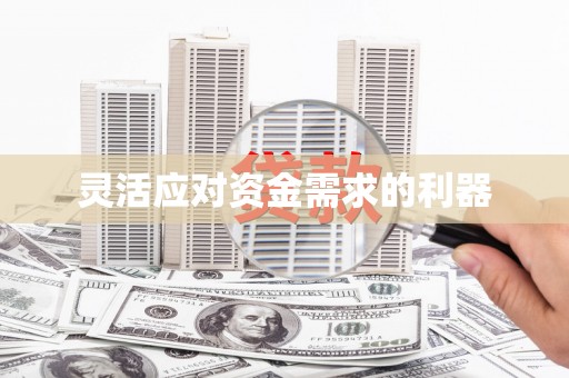 灌阳灵活应对资金需求的利器