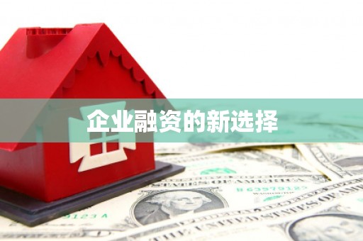 灌阳企业融资的新选择